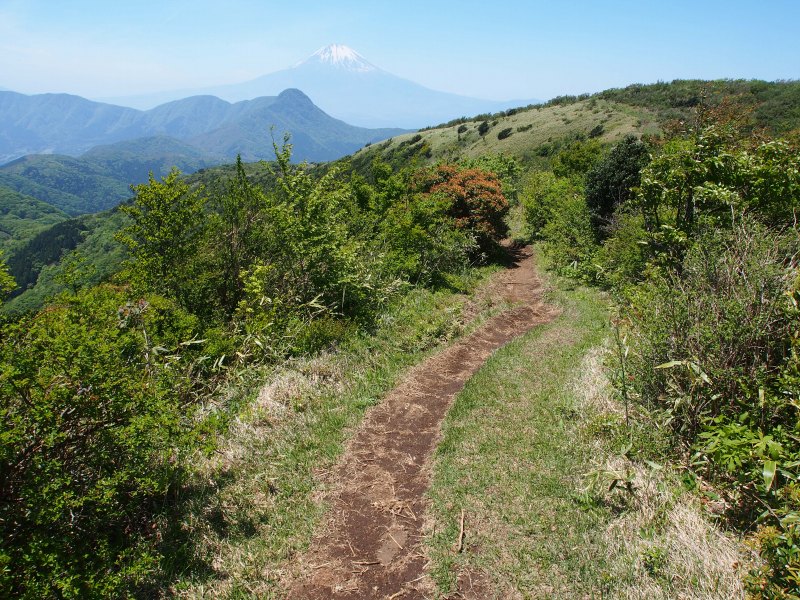 金時山と富士山のコラボが大変美しい