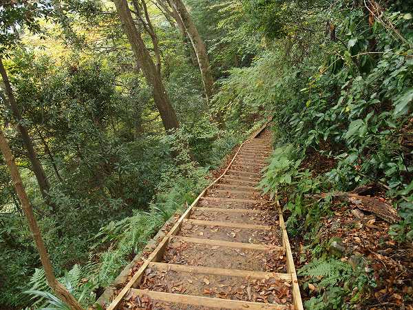 木製の急階段