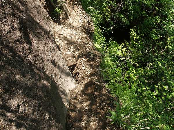 登山道の幅は狭い上、一部崩壊しかけている
