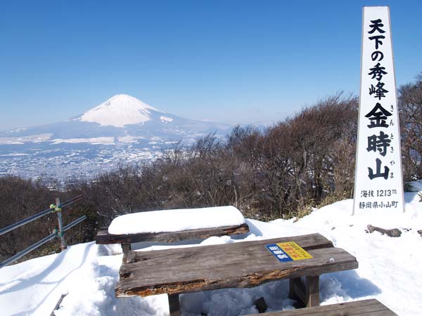 金時山山頂から望む富士山