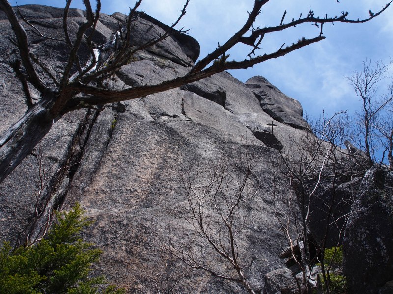 大ヤスリ岩の基部