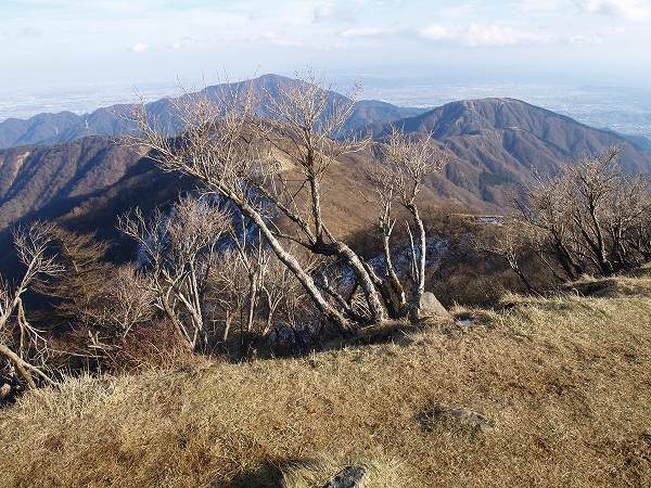 山頂から「丹沢表尾根」その先に「大山」