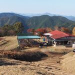 陣馬登山口から栃谷尾根で陣馬山コース