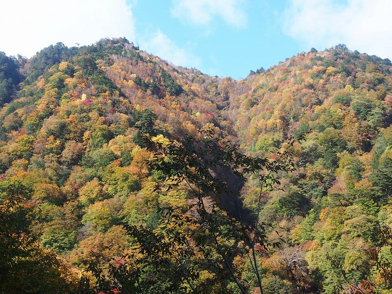 西沢渓谷終点滝の上展望台からの紅葉、標高1400m